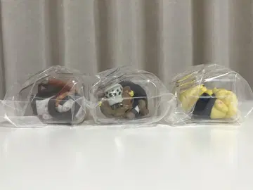 잘 자요, 냥 피스, 로, 상디, 에이스 세트