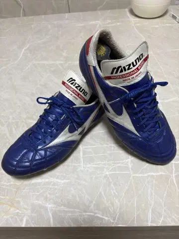 Mizuno 프로페셔널 모델 축구화