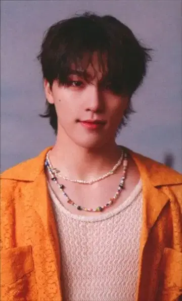 세븐틴 TowerRecords DINO FACE THE SUN