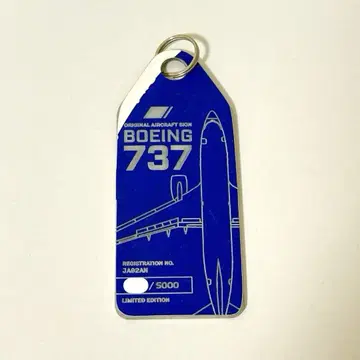 ANA 보잉 737 키링