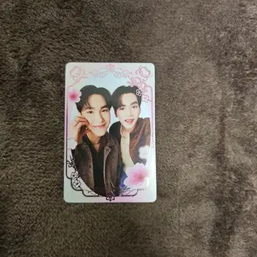 주니어 마크 시크레 트레이딩 카드