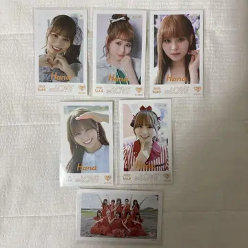 이코러브 오바 하나 미니 사진 컴프