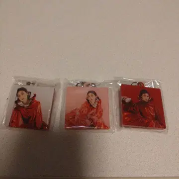 이쿠타 에리카 씨 키링