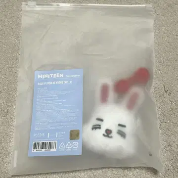 세븐틴 승철 miniteen 페이스 키링 체체리