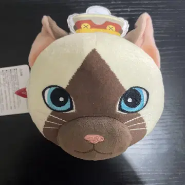 USJ 한정판 몬스터 헌터 월드 아이스본 아일루 메모 박스