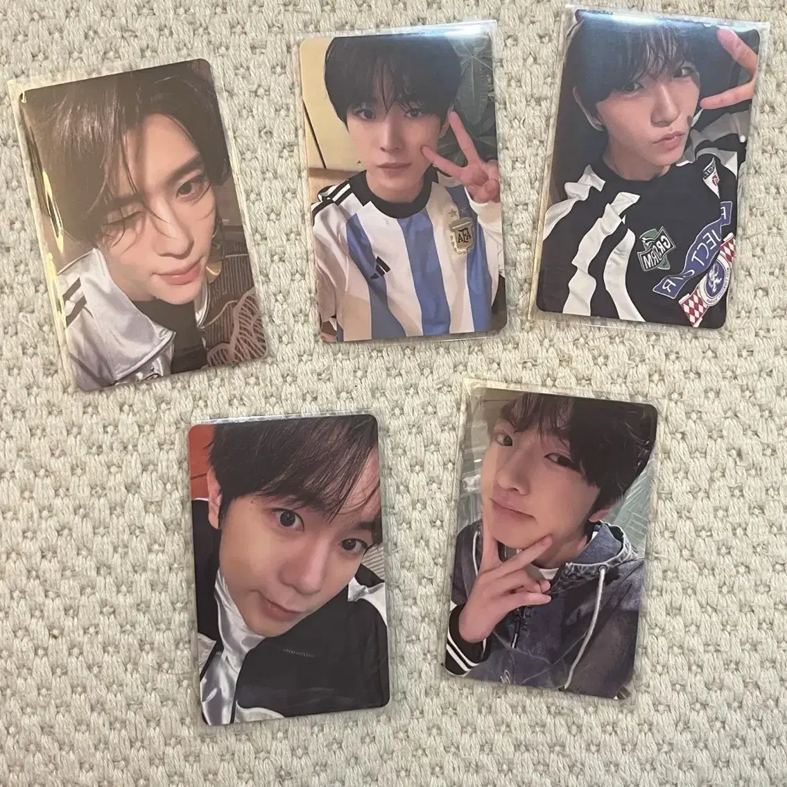 Nct wish steady KMS winning photocard set on Bunjang Global