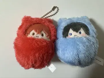 기븐 타피누이 싸개 타피누이 한겨울 입하