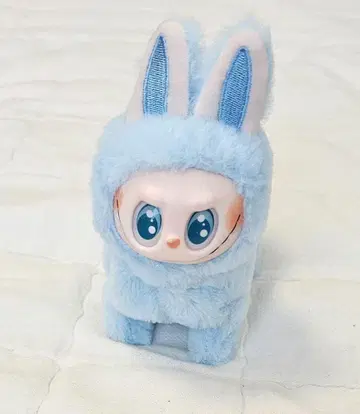 러브브 강아지 움직이는