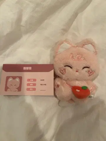 ENHYPEN 선우 봉제 인형 마스터