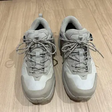 호카오네오네 고어텍스 신발
