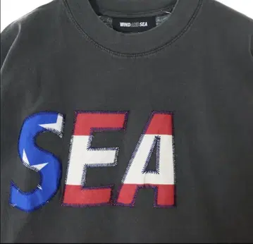 시그니처 USA 시아 S/S 티셔츠 XL