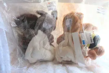 보크스 에조리스&시마리스 기구미, 동동이와 해바라기 씨 쿠션