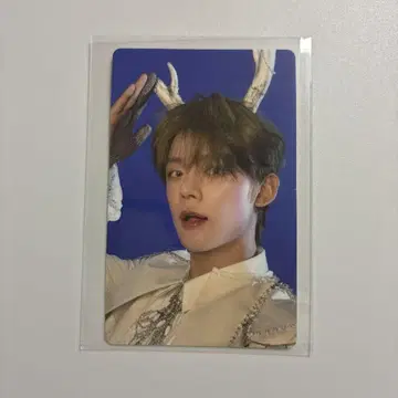 영준 weverse 혜택