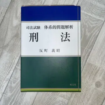 사법시험 체계적 문제 분석 형법