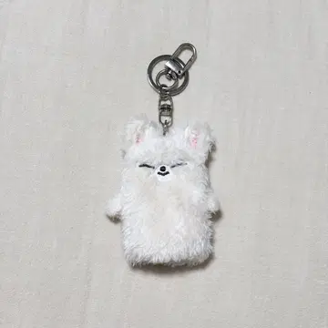 straykids foxi.ny 아이엔 손가락 인형 키링 공식 덤 포함