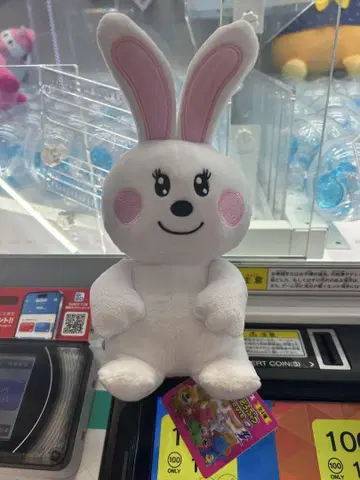 타베코 동물 영화 토끼