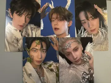 TXT TOGETHER 위바쇼 혜택 세트 트레이딩 카드