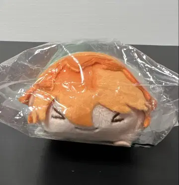 하이큐 노루 캐릭터 마스코트 히나타 쇼요 유키가오카 중학생 Ver