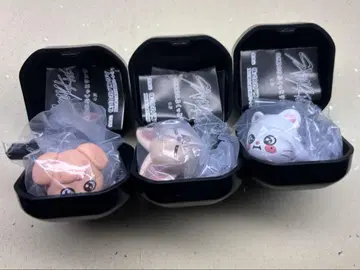 skzoo 푹신한 반지 3개 세트