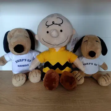 일광화상 스누피와 찰리 브라운 봉제 인형 세트