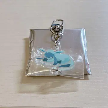 그레이시아 포켓몬 슬립 연결 아크릴 참 시부야 팝업