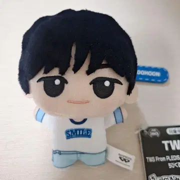 TWS: SD 인형 vol.2 DOHOON 도훈 남코 한정판