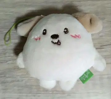 RIIZE  몬리영 앤톤 키링