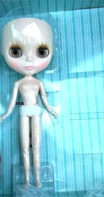 미사용 프레젠트 서프라이즈 인형 본체만 두피 없음 네오 브라이스