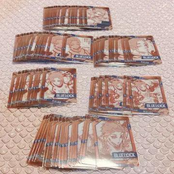 블루 록 파보 카 이토시 사에