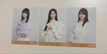 노기자카46 빅 보타이 블라우스 엔도 카키 이노우에