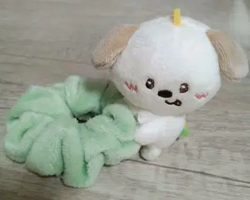 RIIZE  몽리영 앤톤 스크런치