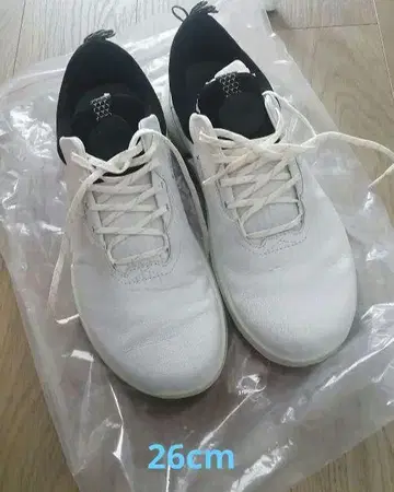 ECCO 바이옴 H4
