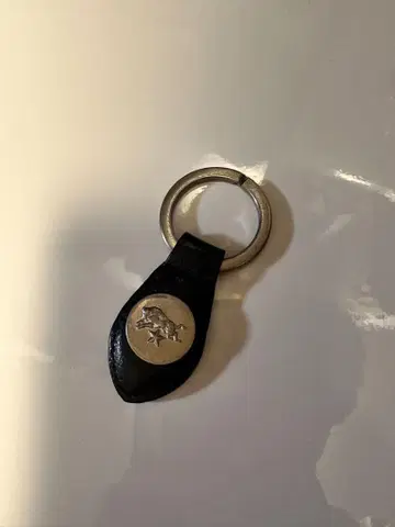 일비종떼 키링