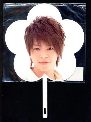 Hey! Say! JUMP 11년 SUMMARY 아리오카 다키 미니 부채