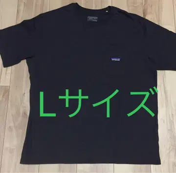 Patagonia 데일리 포켓 T