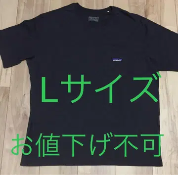 Patagonia 데일리 포켓 T