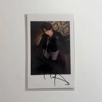 아라키 폴라로이드 컬렉션