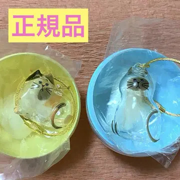 우리 아이의 털뭉치