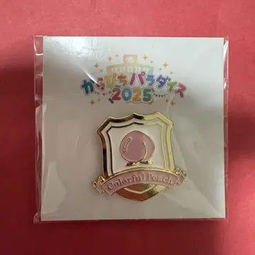 새상품 컬러풀 피치 카라피치 파라다이스 핀 배지
