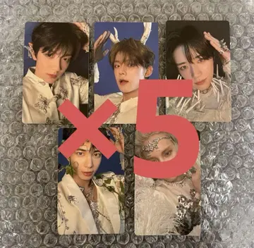 Weverse 혜택 txt 묶음 판매 25장