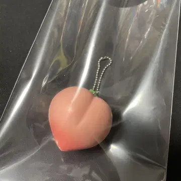 스퀴즈