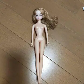 리카짱 인형 본체 알몸 인형