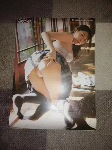 아사게 시크릿 모리 사키 토모미 유포 포스터
