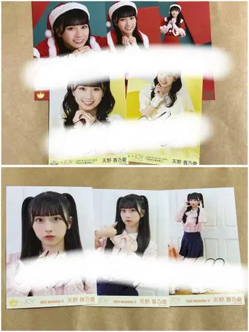 니아 조이 아마노 코노아 브로마이드 직필 묶음 판매