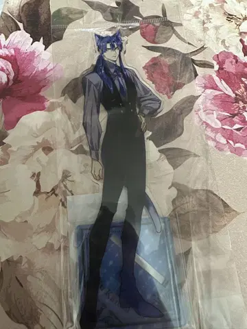 D.Gray-man 빅 아크릴 스탠드 cat ver. 칸다 유