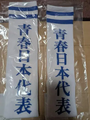 새로운 학교 리더 공식 청춘 일본 대표 양말 남자용 2켤레 세트