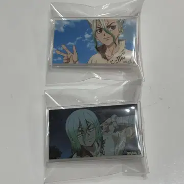 Dr.STONE 이시가미 치쿠루 아크릴 배지