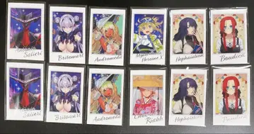 fgo 포트레이트 묶음 판매
