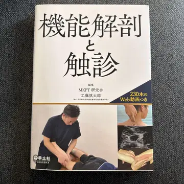 기능 해부 및 촉진