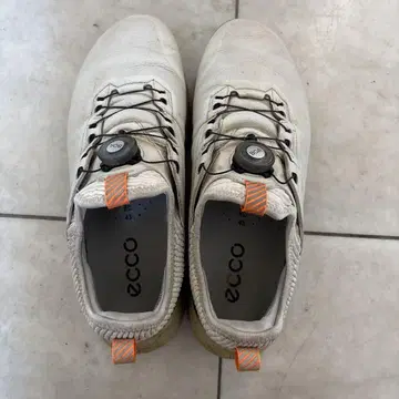 ECCO GORE-TEX 골프화 43